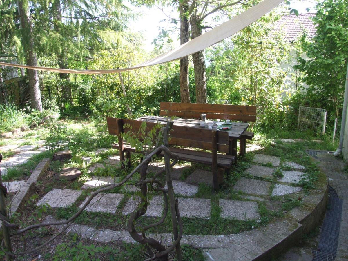 Vacanze Toscane In The Country - Villa Agrifogli Сассетта Экстерьер фото