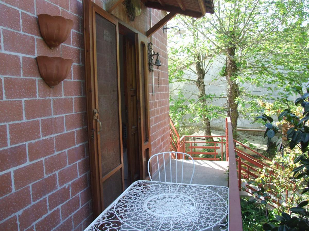 Vacanze Toscane In The Country - Villa Agrifogli Сассетта Экстерьер фото
