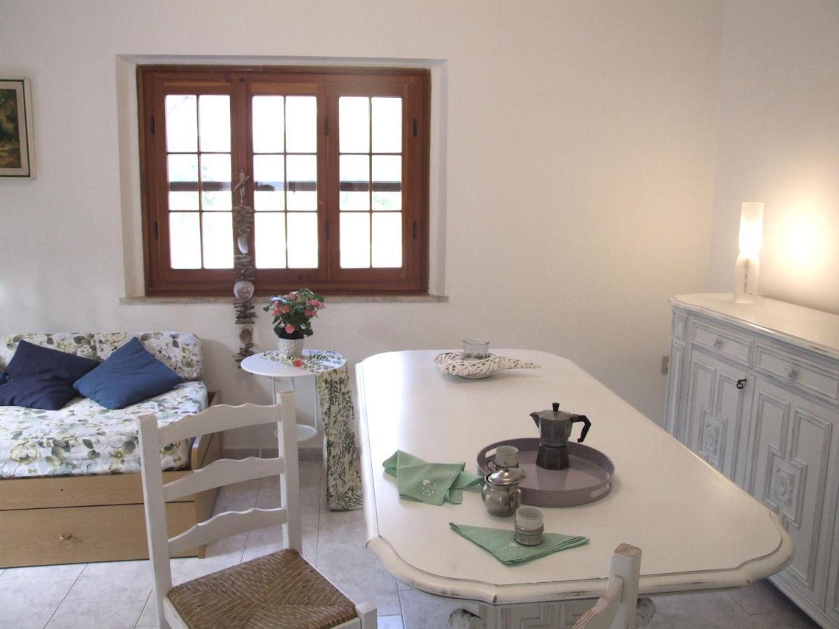 Vacanze Toscane In The Country - Villa Agrifogli Сассетта Экстерьер фото
