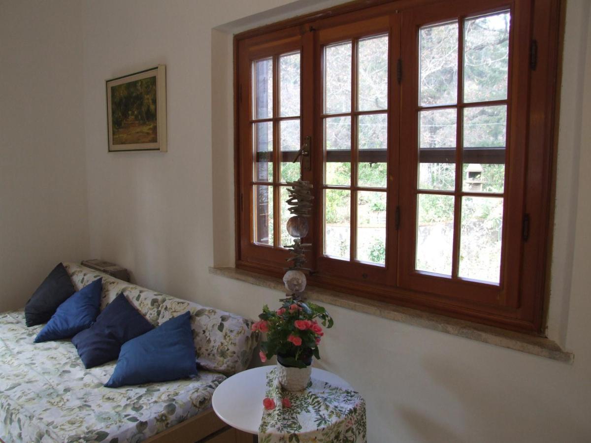 Vacanze Toscane In The Country - Villa Agrifogli Сассетта Экстерьер фото